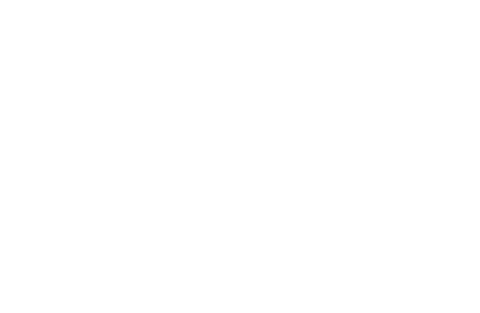 Логотип SIA "Skrubis"